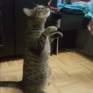 Meet your Posher, Anna